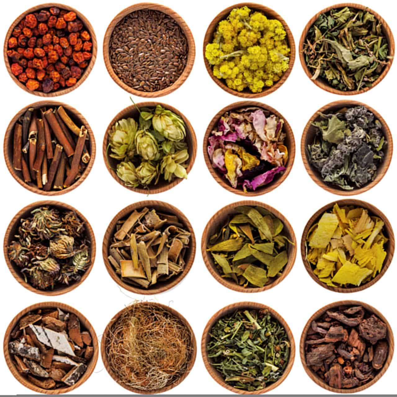 Ayurvedic Herbs Ingredients Display Panchakarma Botanical Medicine Grid Dried Plants - integrative healthcare treatment at Healers Clinic Dubai