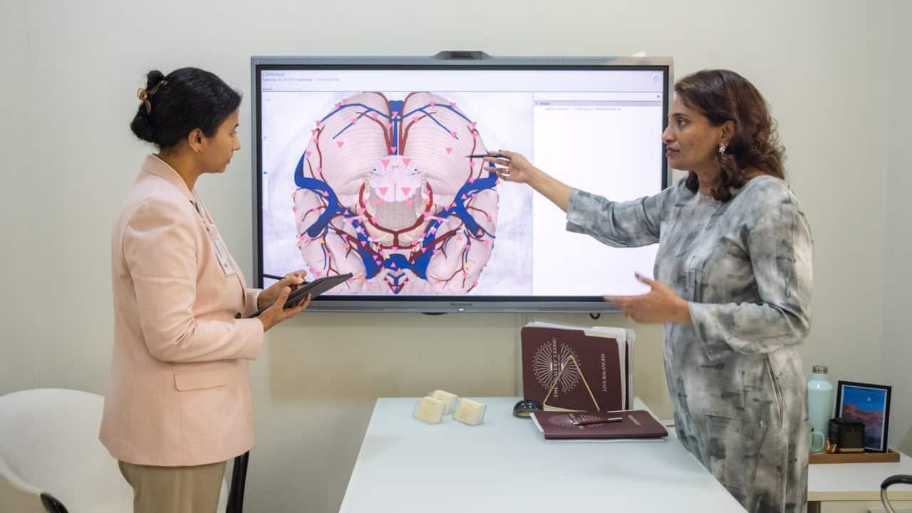 Nls Diagnostics Expert Interpretation 3d Anatomical Scan Healthcare Professionals Analysis - integrative healthcare treatment at Healers Clinic Dubai